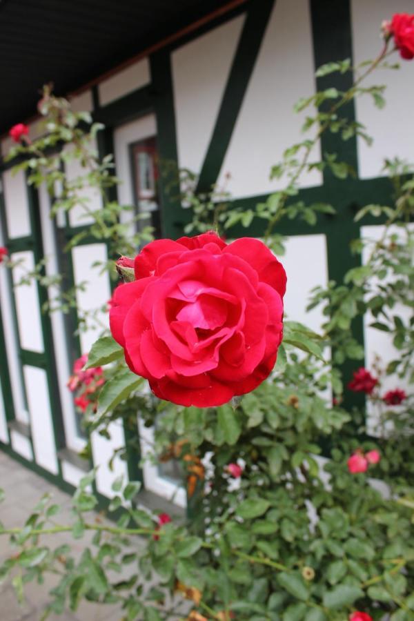 Gemuetliches Fachwerkhaus Im Herzen Nideggens Esterno foto